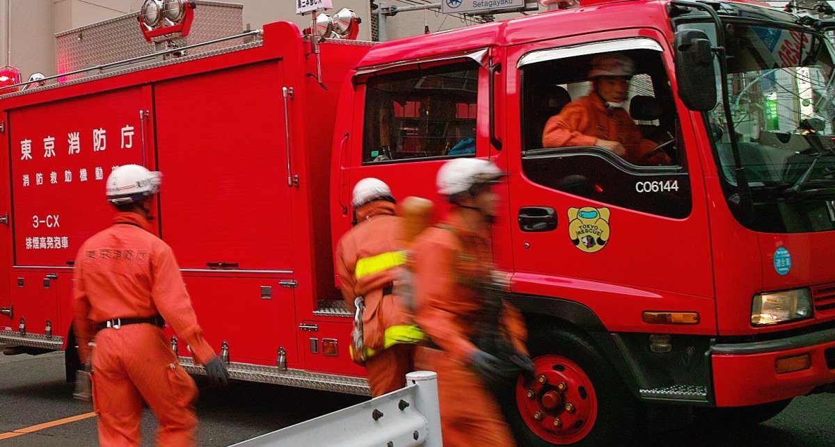 Japan Wildfires in the North Show Why Forestry Management Must Change Now