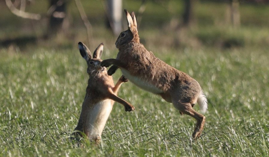 US markets bounce back amid worst week since 2023