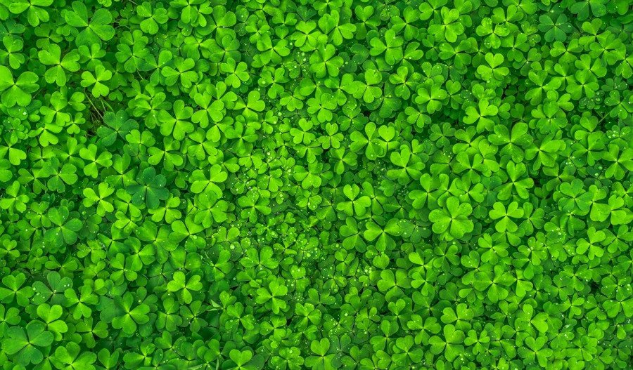 Relief rally boosts ASX 200; China stimulus lifts miners