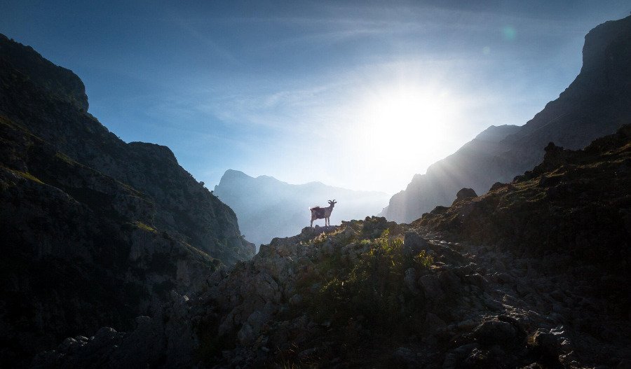 Markets: US benchmarks extend gains, volatility recedes