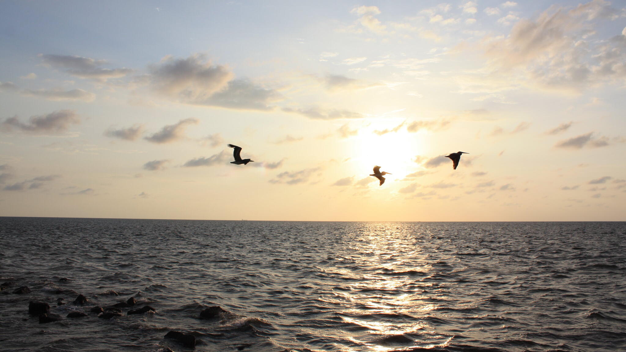 Gold surpasses US$3,000; ANZ lifts price forecasts