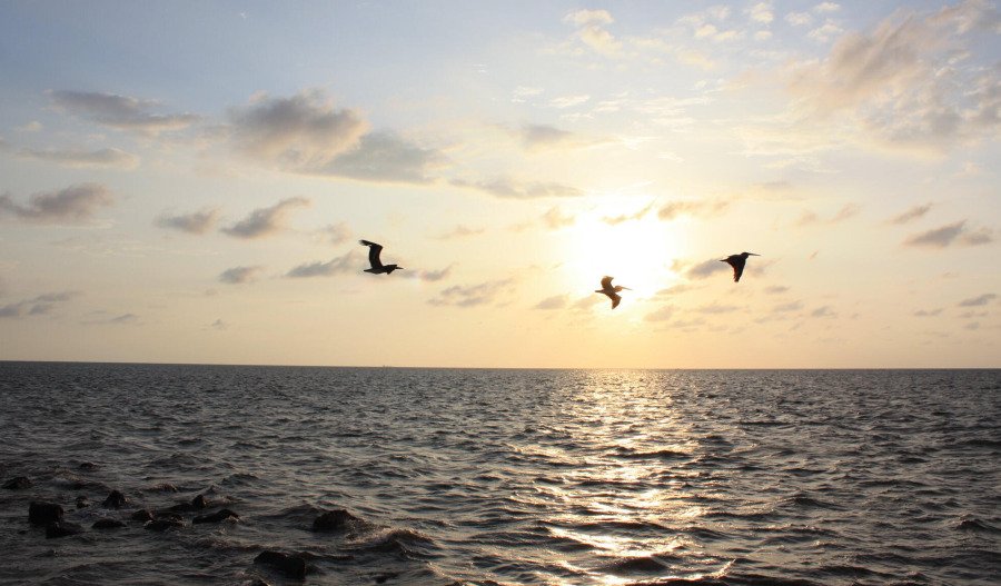 Gold surpasses US$3,000; ANZ lifts price forecasts