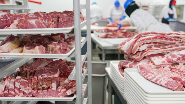 Retail and Wholesale Butcher Shop and Meat Processing Business – QLD