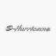 Hurricane Boats logo