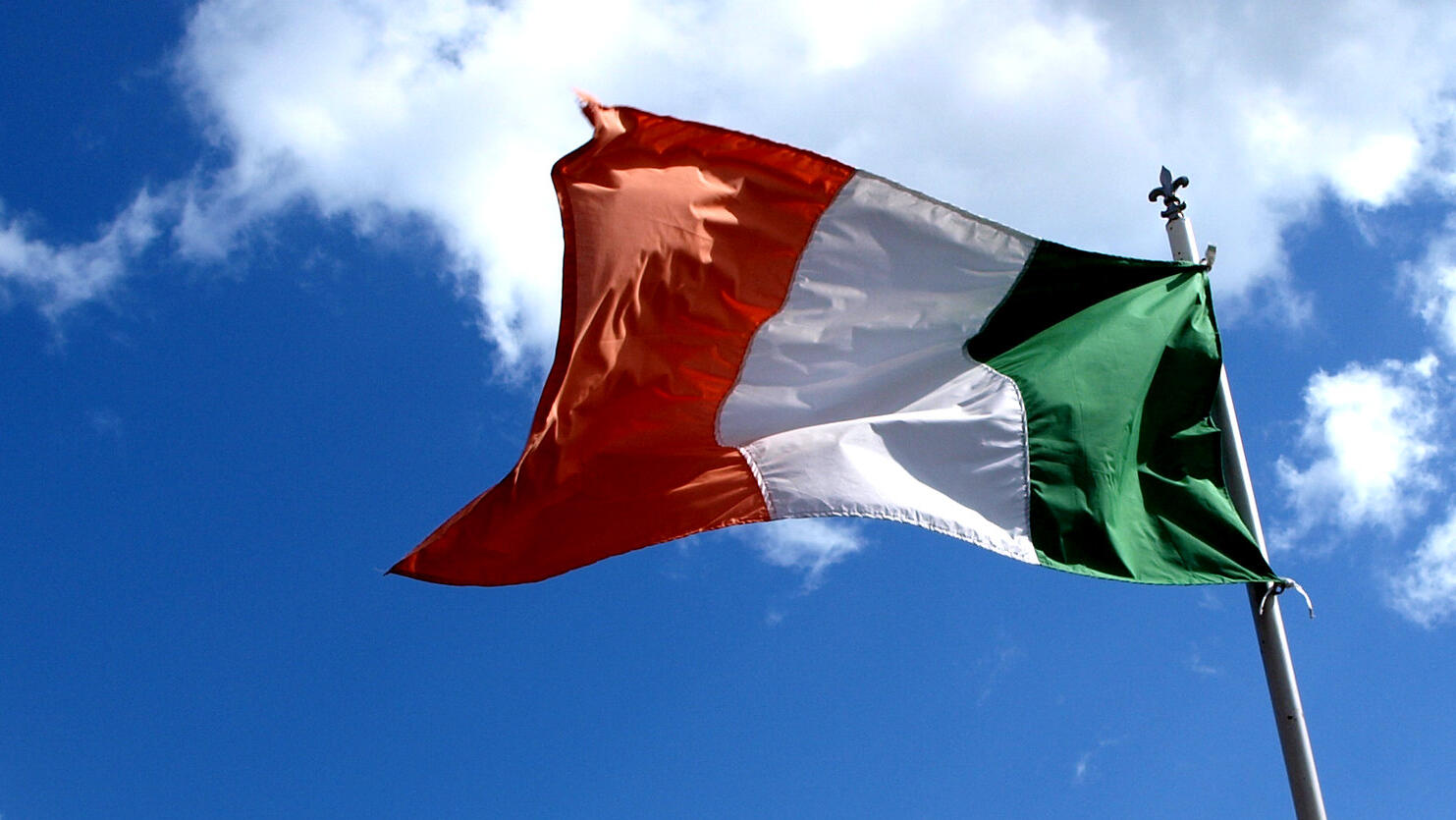 Irish officials won't back McGregor's presidential goals