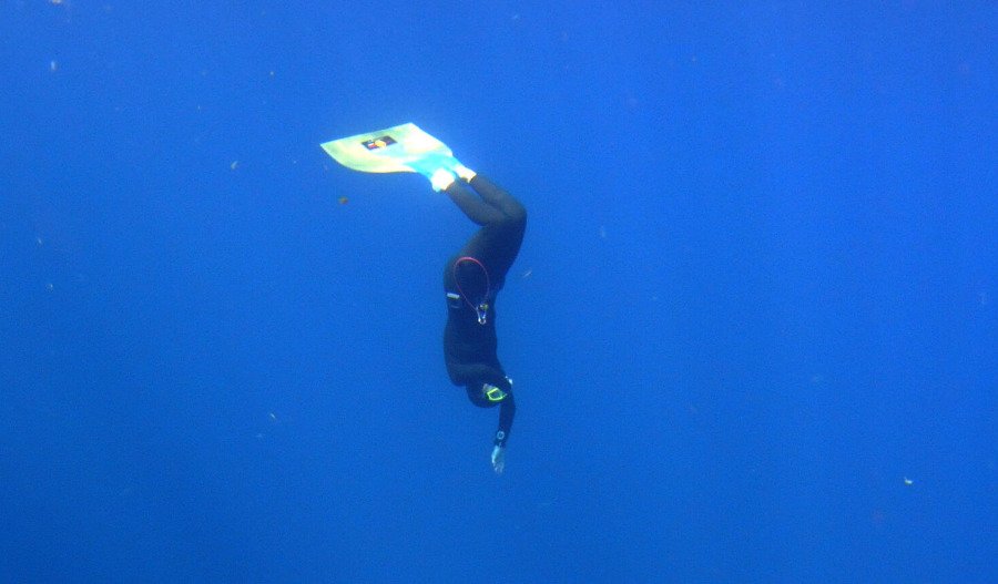 US futures dive further as S&P 500 nears bear market