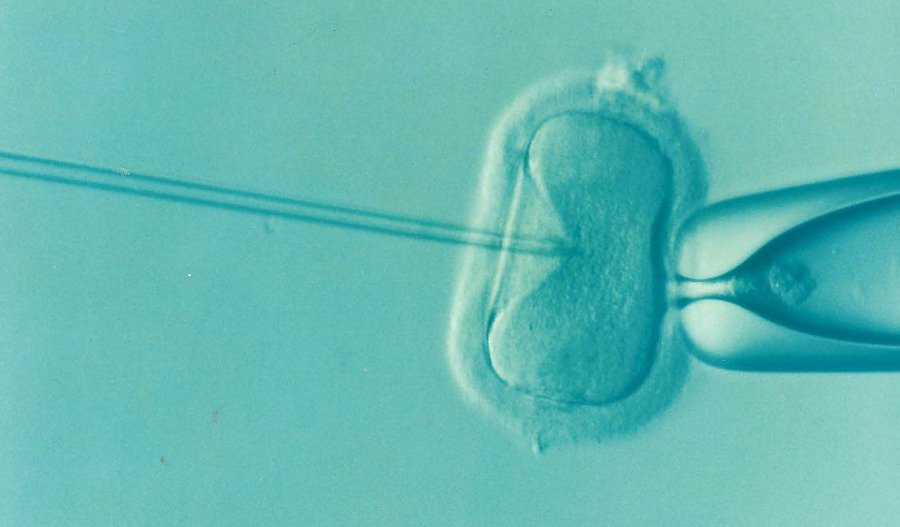 Shares in IVF clinic dive after distressing birth mix-up