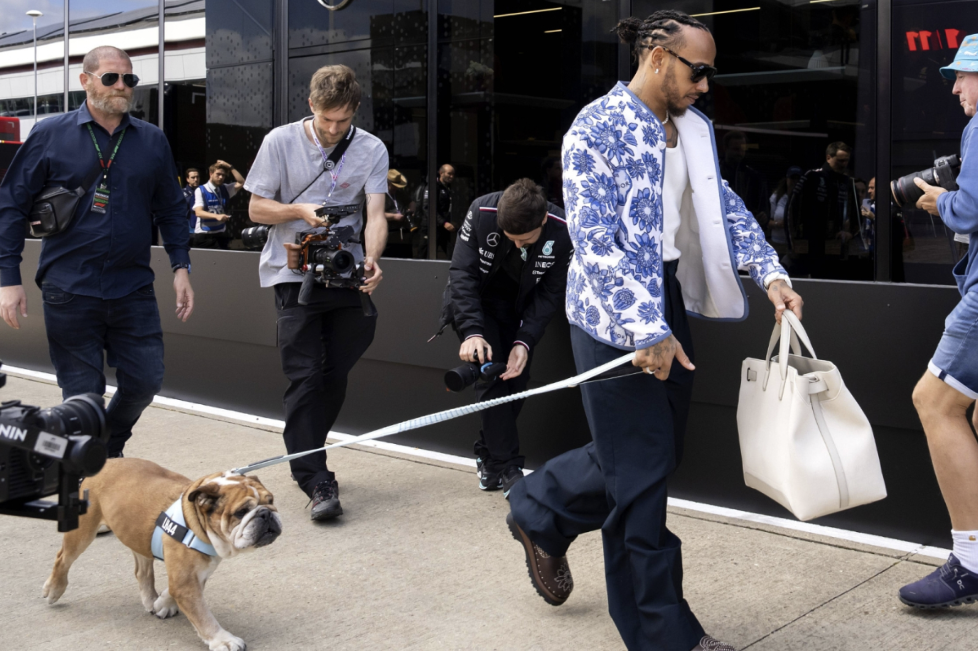 A man walking a bulldog with a light blue harness that says "LH44", surrounded by photographers