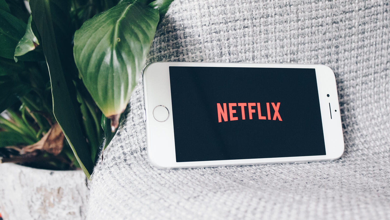 Netflix results beat forecasts with 13% revenue jump