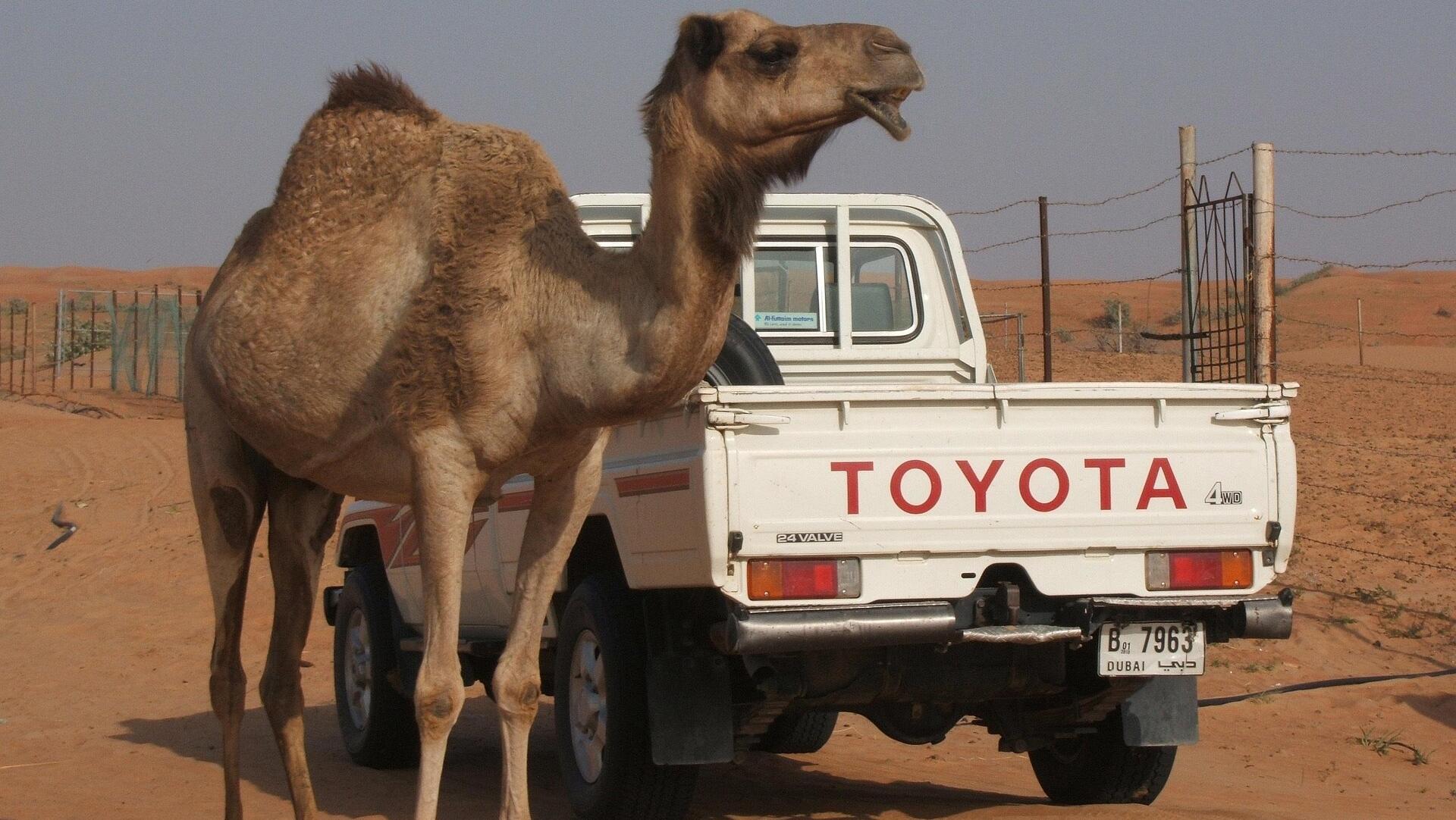 Toyota weighs up record $42bn buyout of key supplier