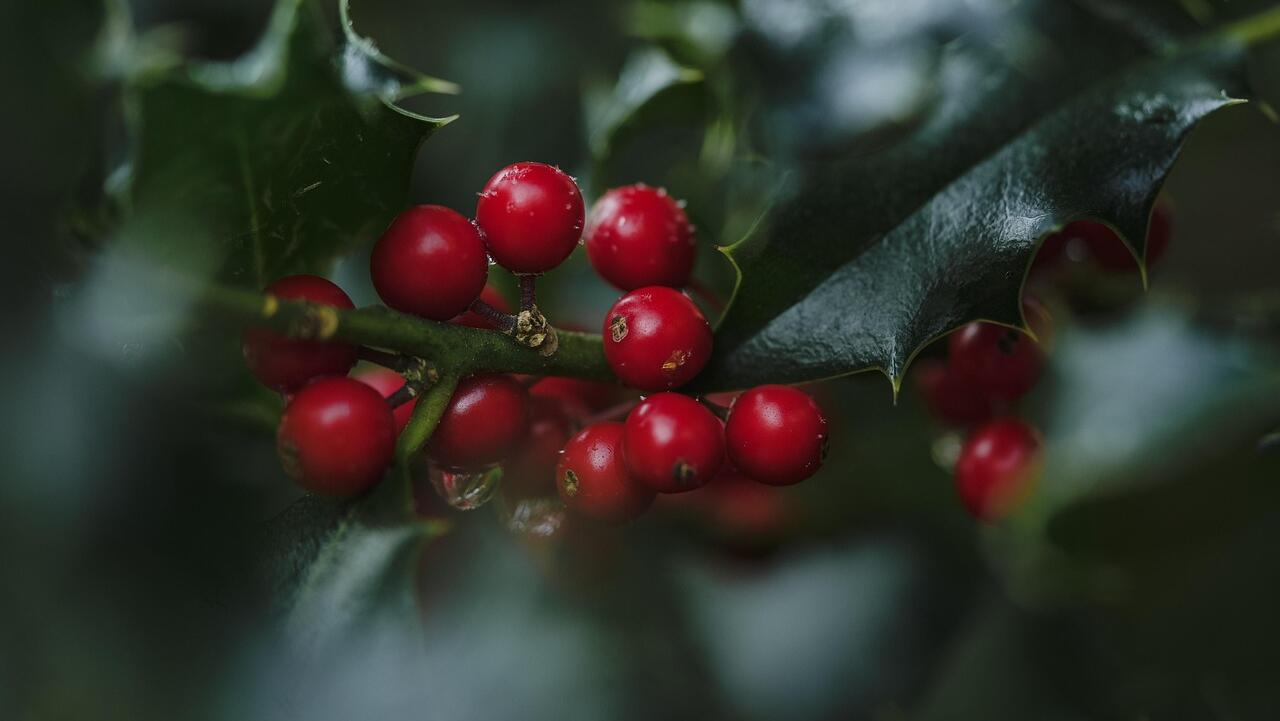 Amcor finalises Berry Global merger, misses 3Q estimates
