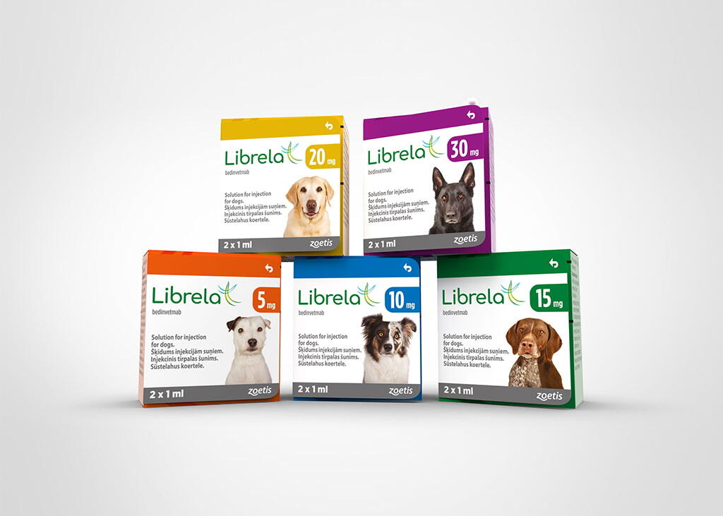 Five square boxes reading "Librela bedinvetmab" and "zoetis", with images of dogs