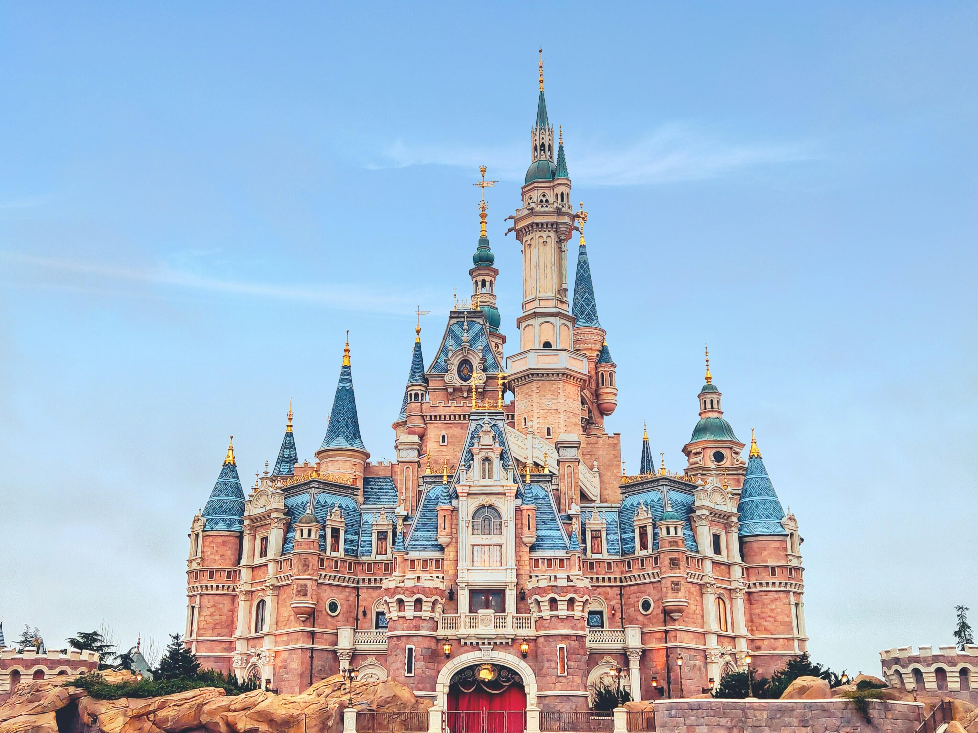 Disney castle