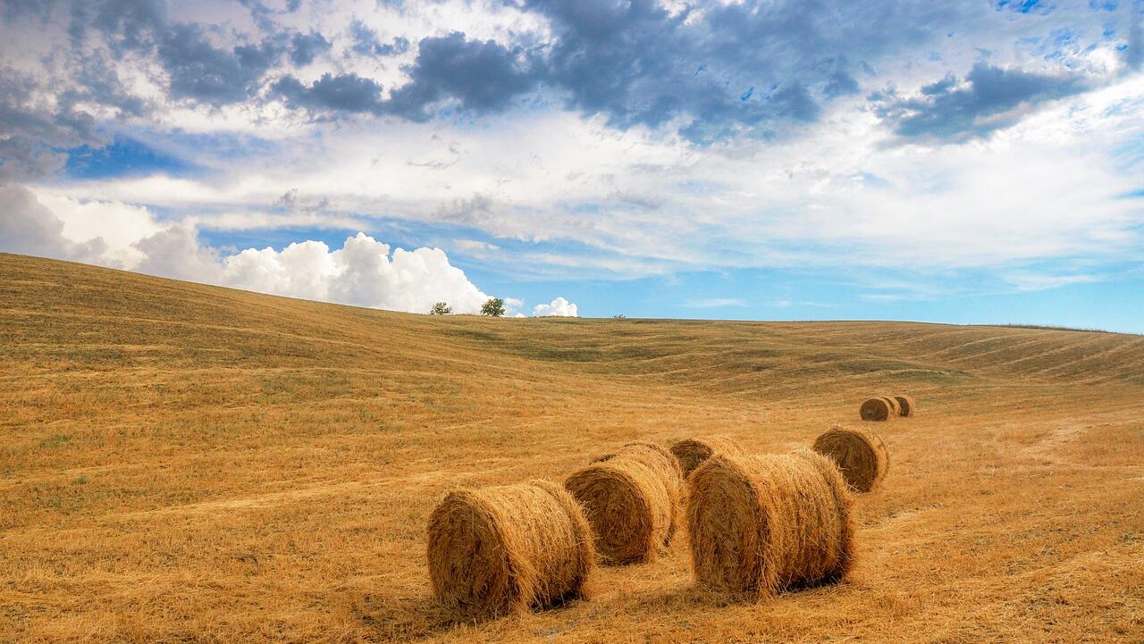 APAC markets trade mixed as key US earnings roll in