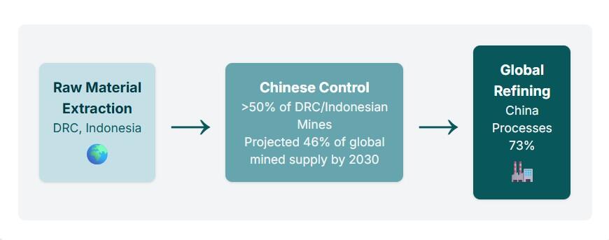 world cobalt supply chain