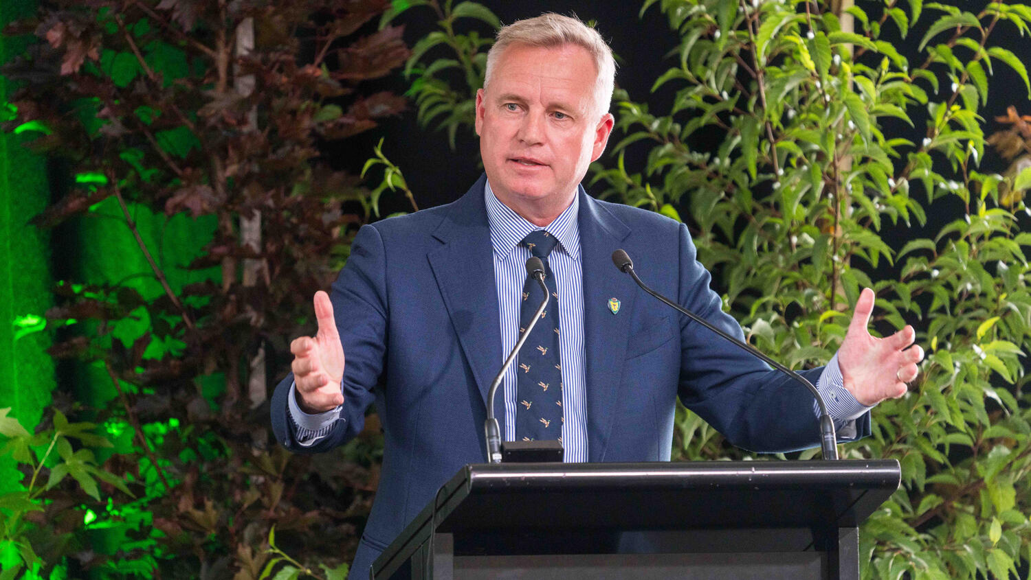 Tasmania's election decision delayed by governor