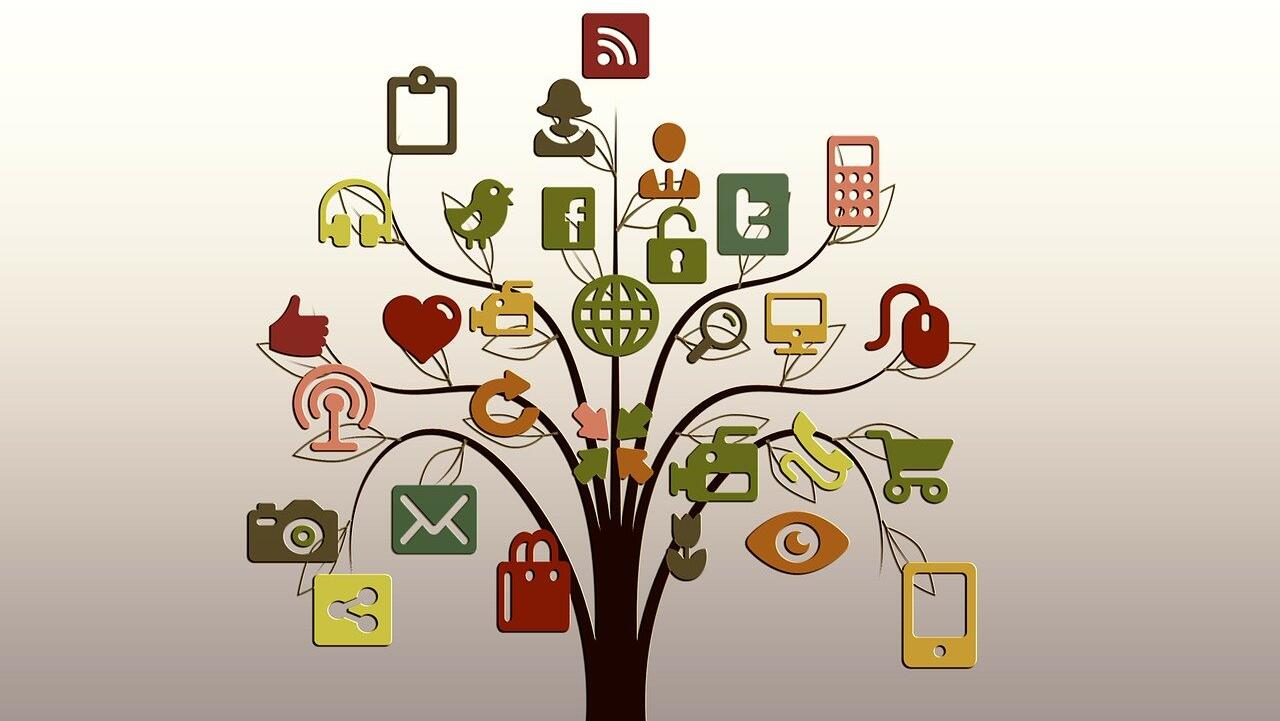 News sites lose ground to social as media trust wanes