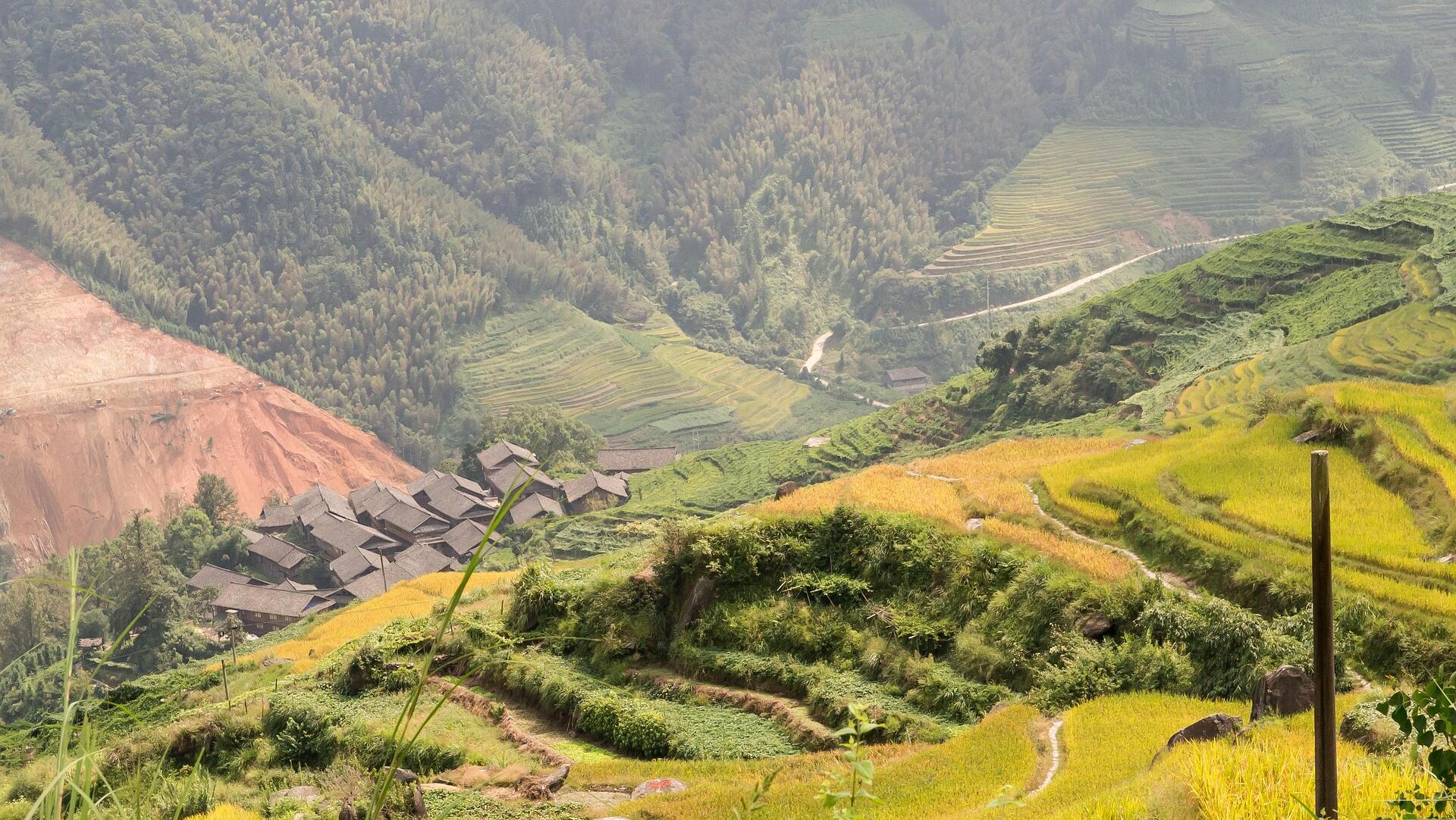 China’s farmland push: Red lines, rural payoffs ahead