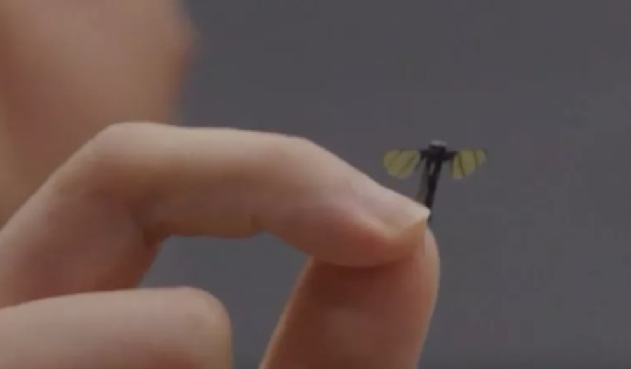 China's mosquito drone sparks espionage alarm