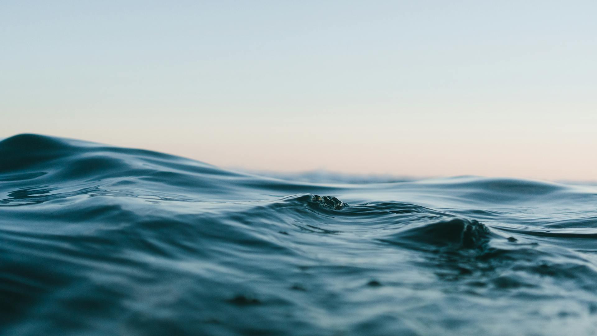 Credit: Matt Hardy / Pexels