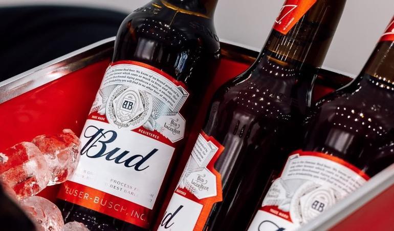 Three bottles of Bud with white and red labels in a red rectangular container filled with ice