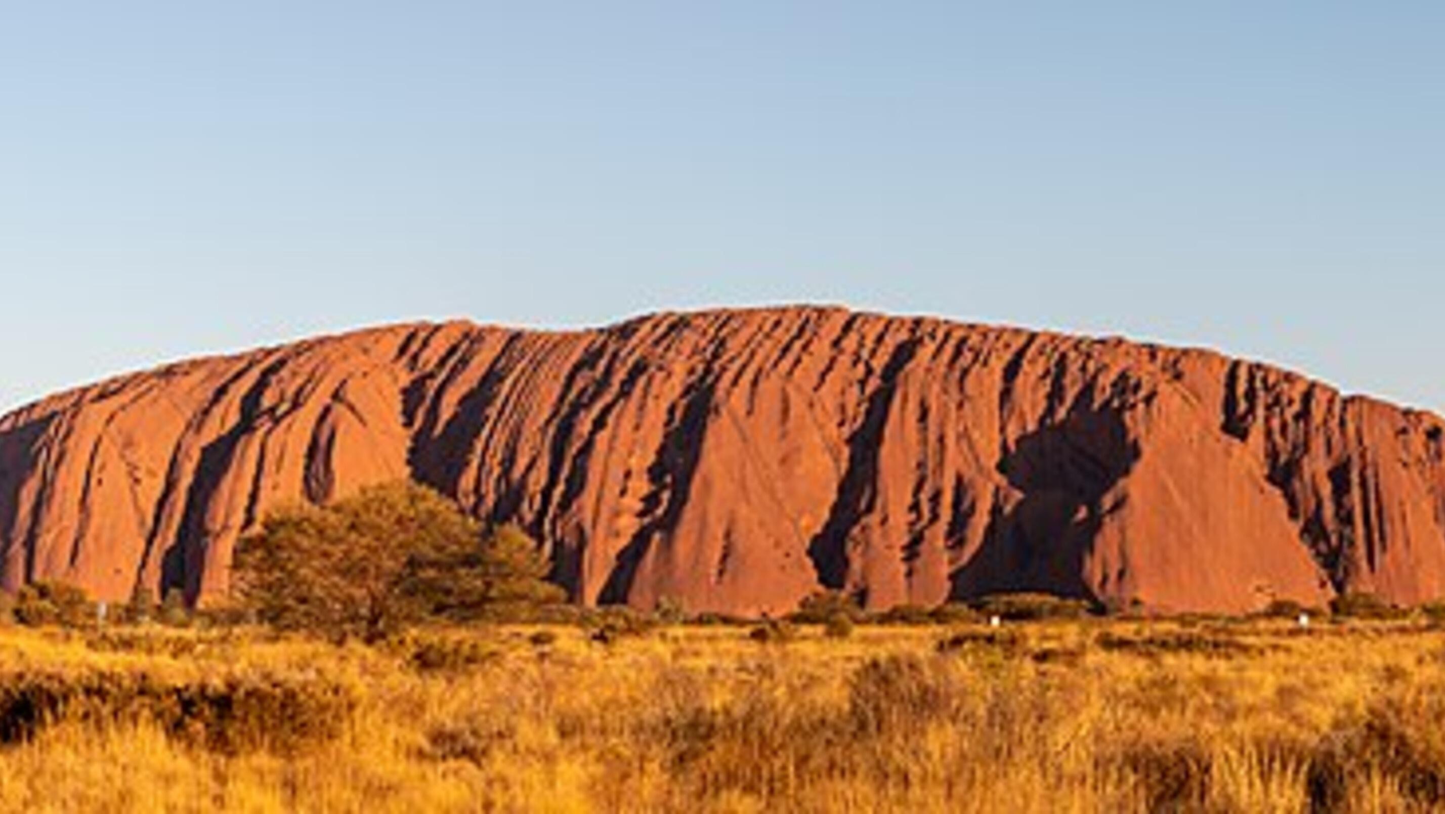 Buoyant Wall Street gives ASX wings