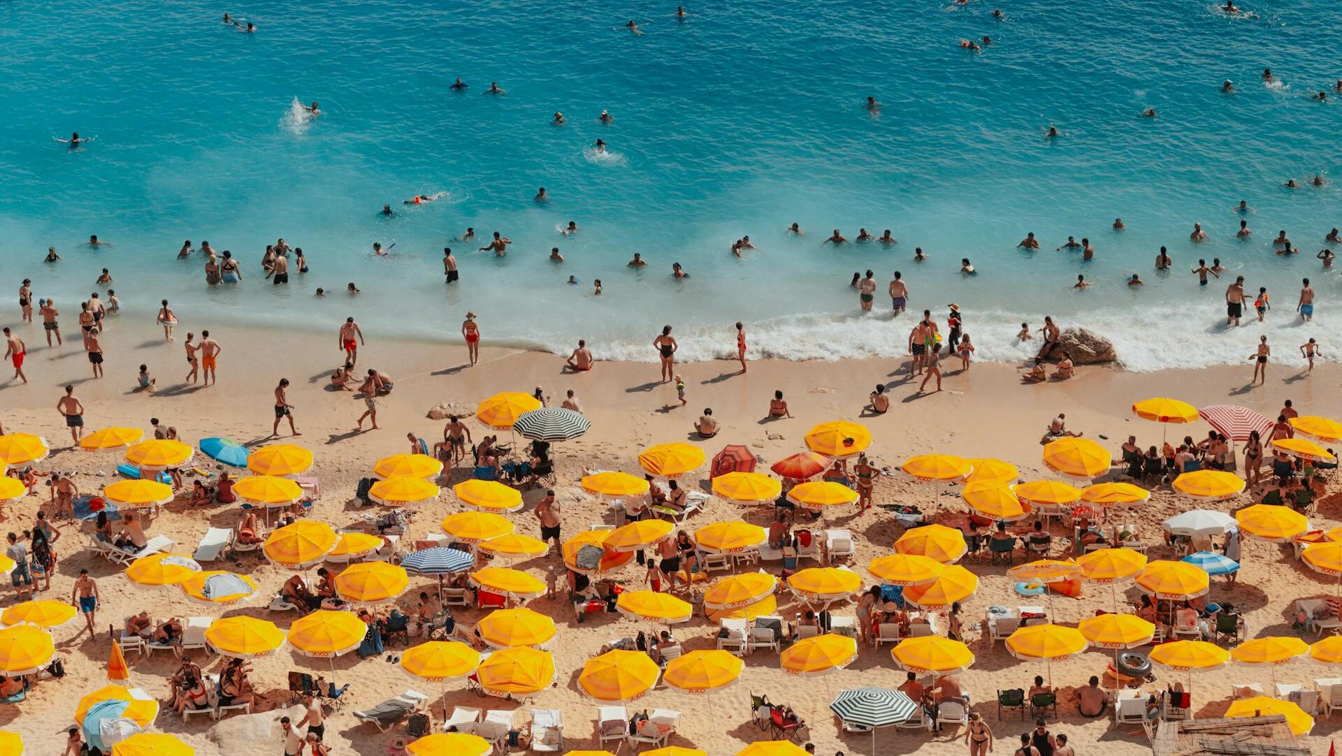 Crowded Trades: What investors need to know