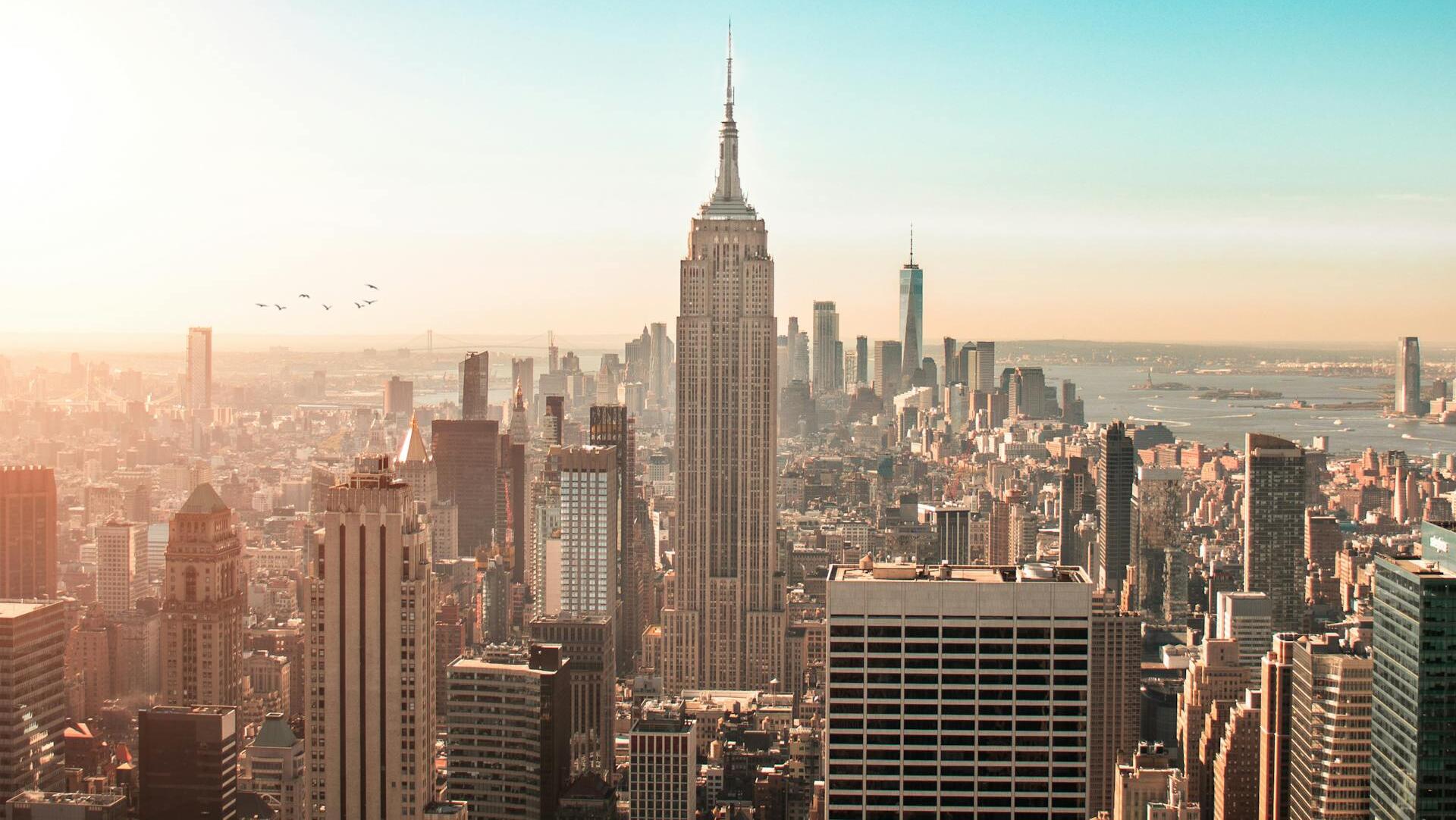 Credit: Frederik Sørensen / Pexels