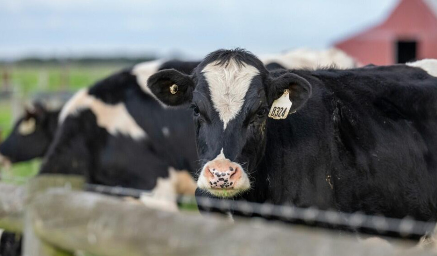Record A$100bn forecast for Australian agriculture