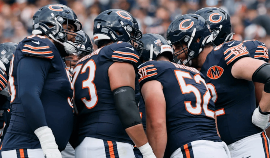 Share sale values Bears at NFL record US$8.9bn