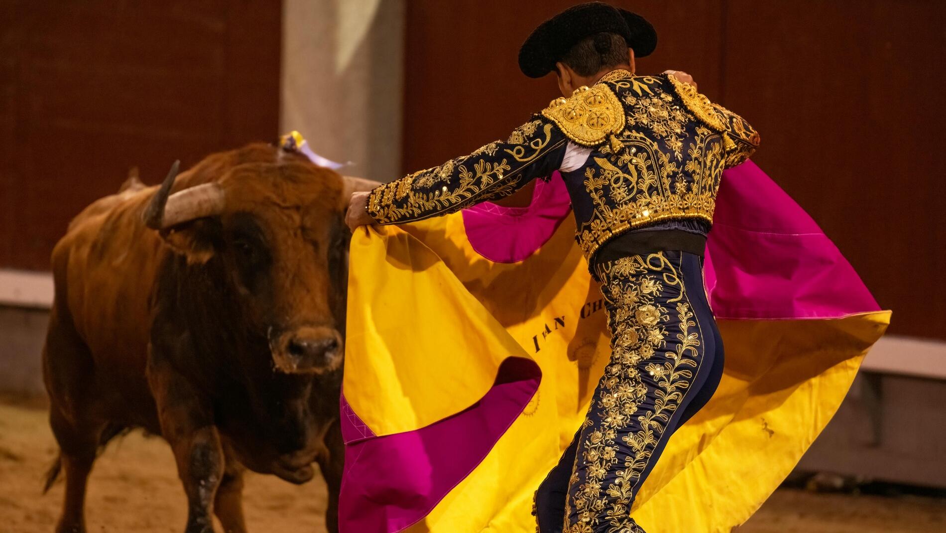 Bull charge pushes gold bullion to record highs