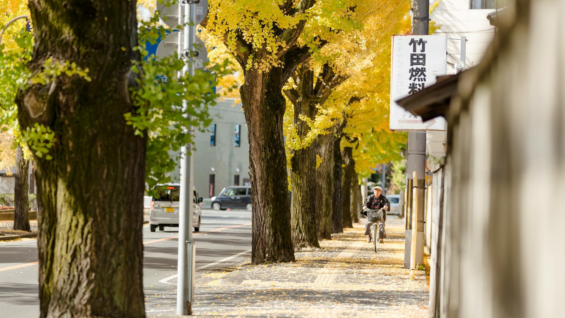 APAC trades in the green as Nikkei 225 surges to record