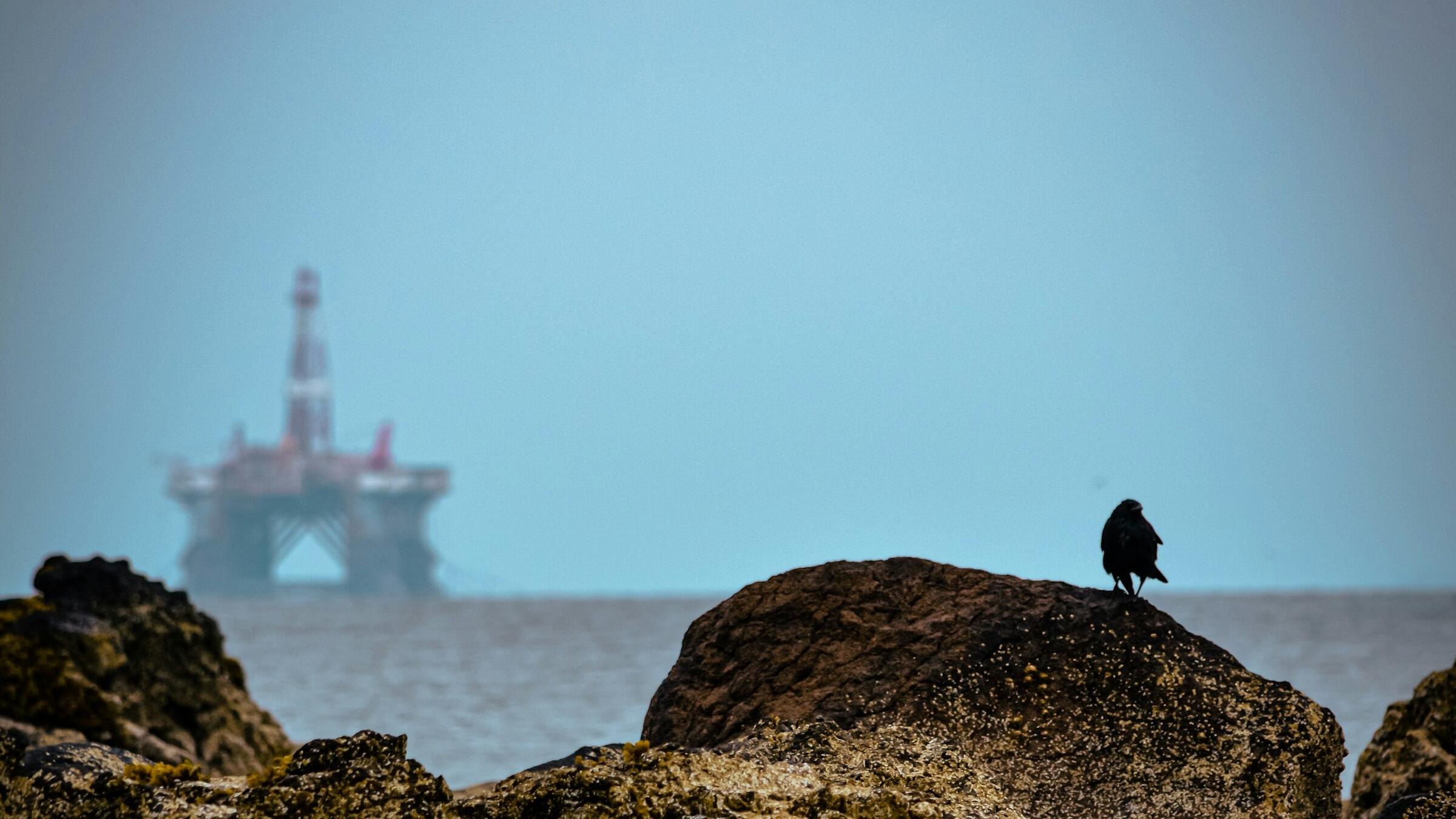 Oil recovers sharp losses amid US-China trade tensions