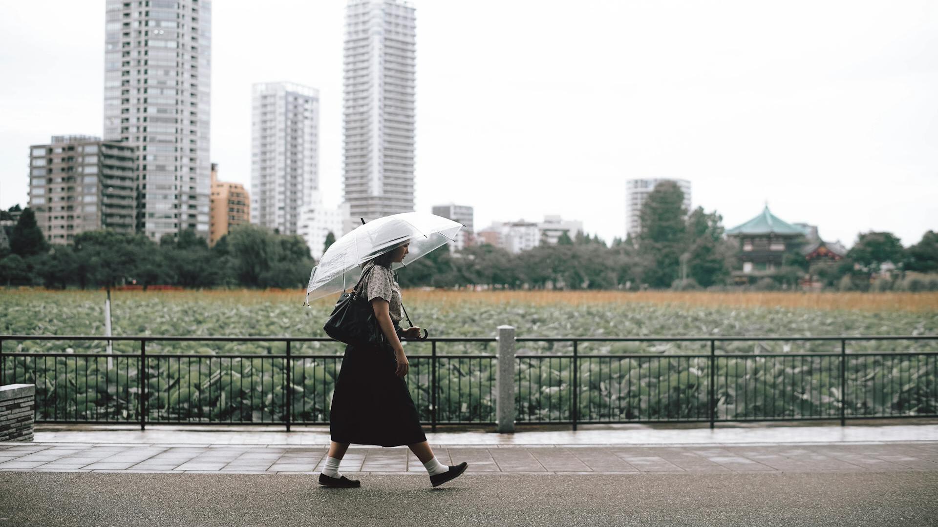APAC eases from records; Japan’s new PM takes office