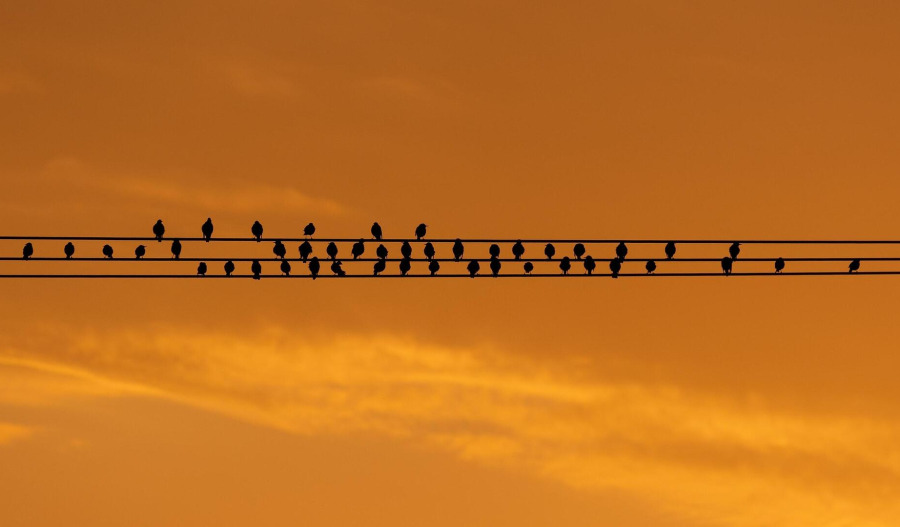 Gold steadies; US-China talks, CPI data in focus