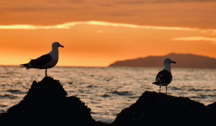 Gold dips below US$4,100; trade optimism lifts sentiment