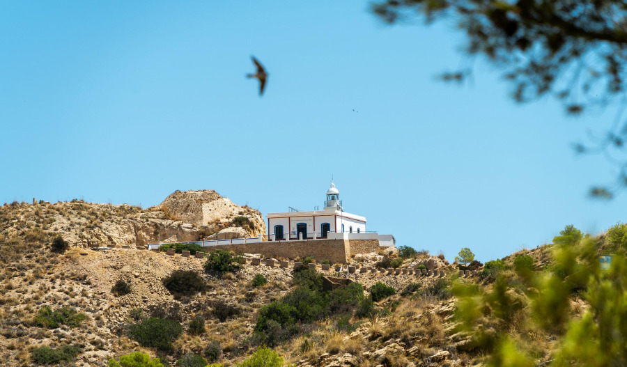 Trading floor: CSL tanks, AUB Group, Florence Corp rally