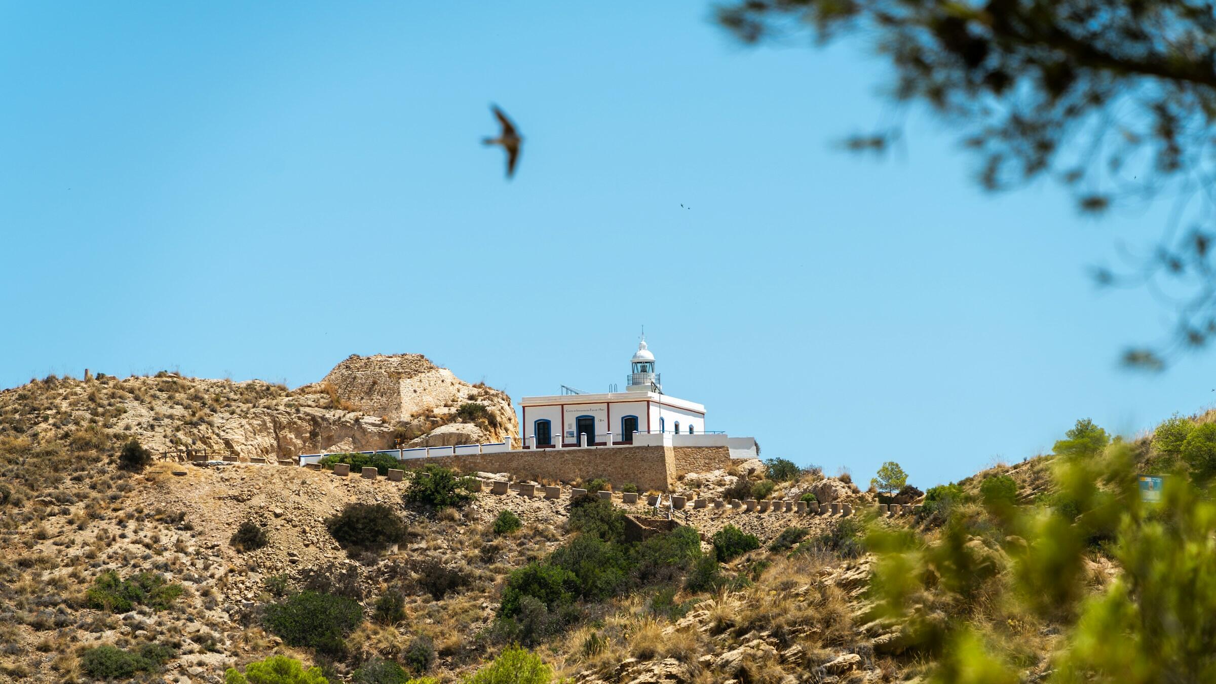 Trading floor: CSL tanks, AUB Group, Florence Corp rally