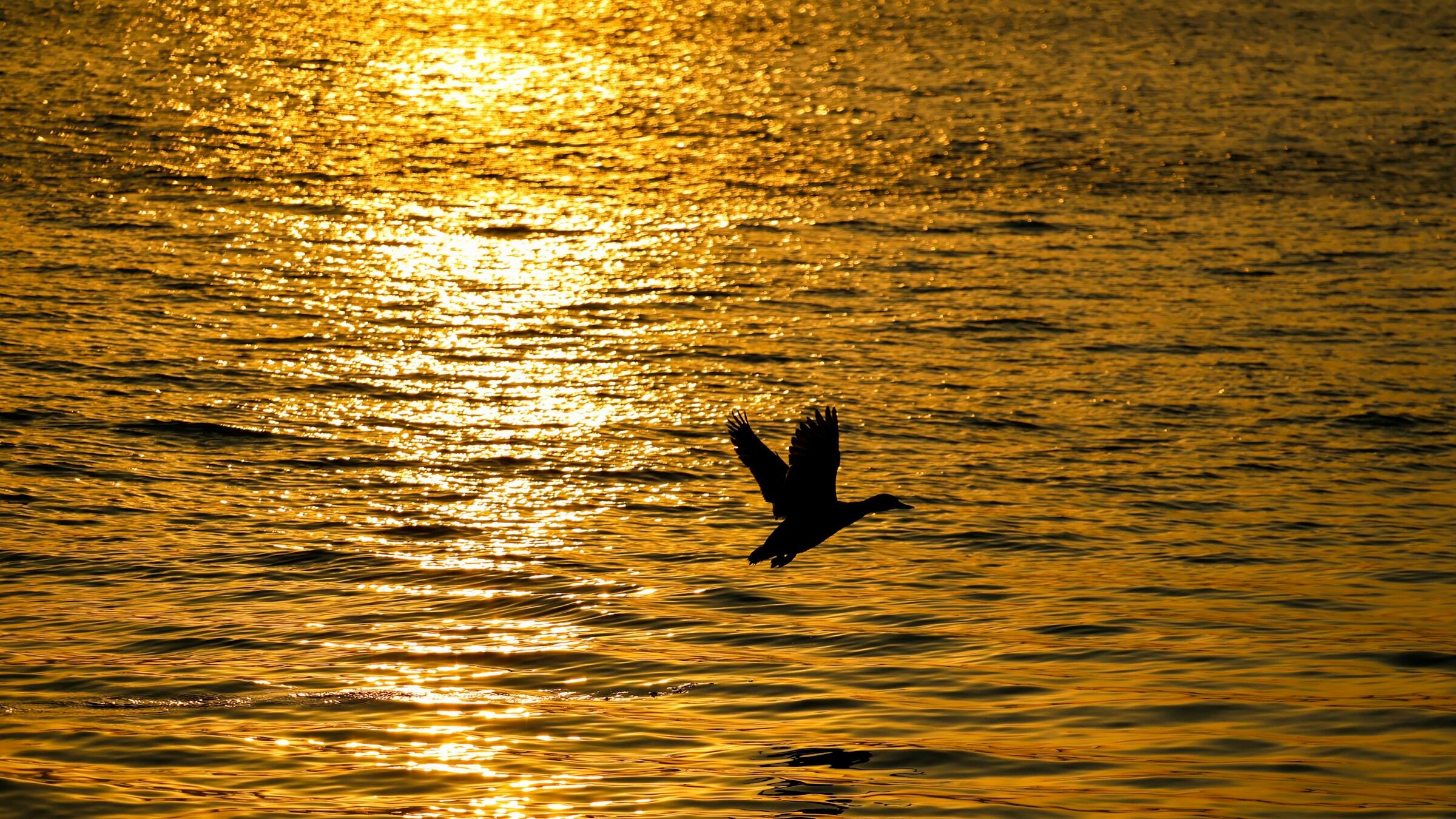 Credit: Psycho Kev / Unsplash