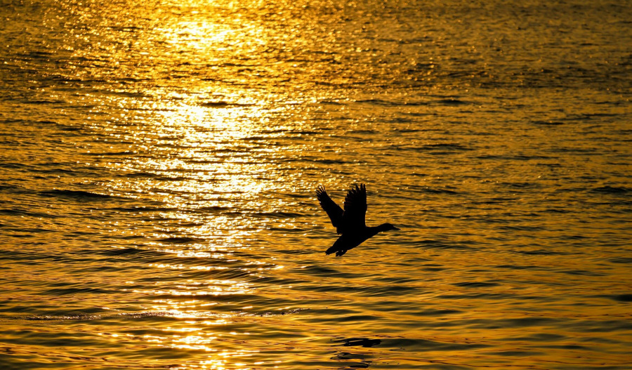 Gold slips below US$4,000 ahead of Fed decision