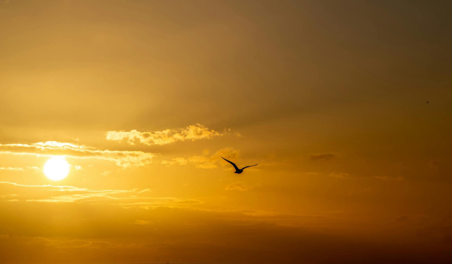 Gold steadies near US$3,960 ahead of Fed rate decision