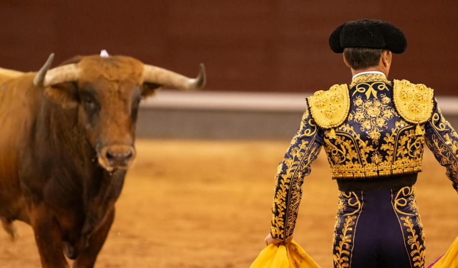 Where to invest: Why scepticism on AI and gold matters