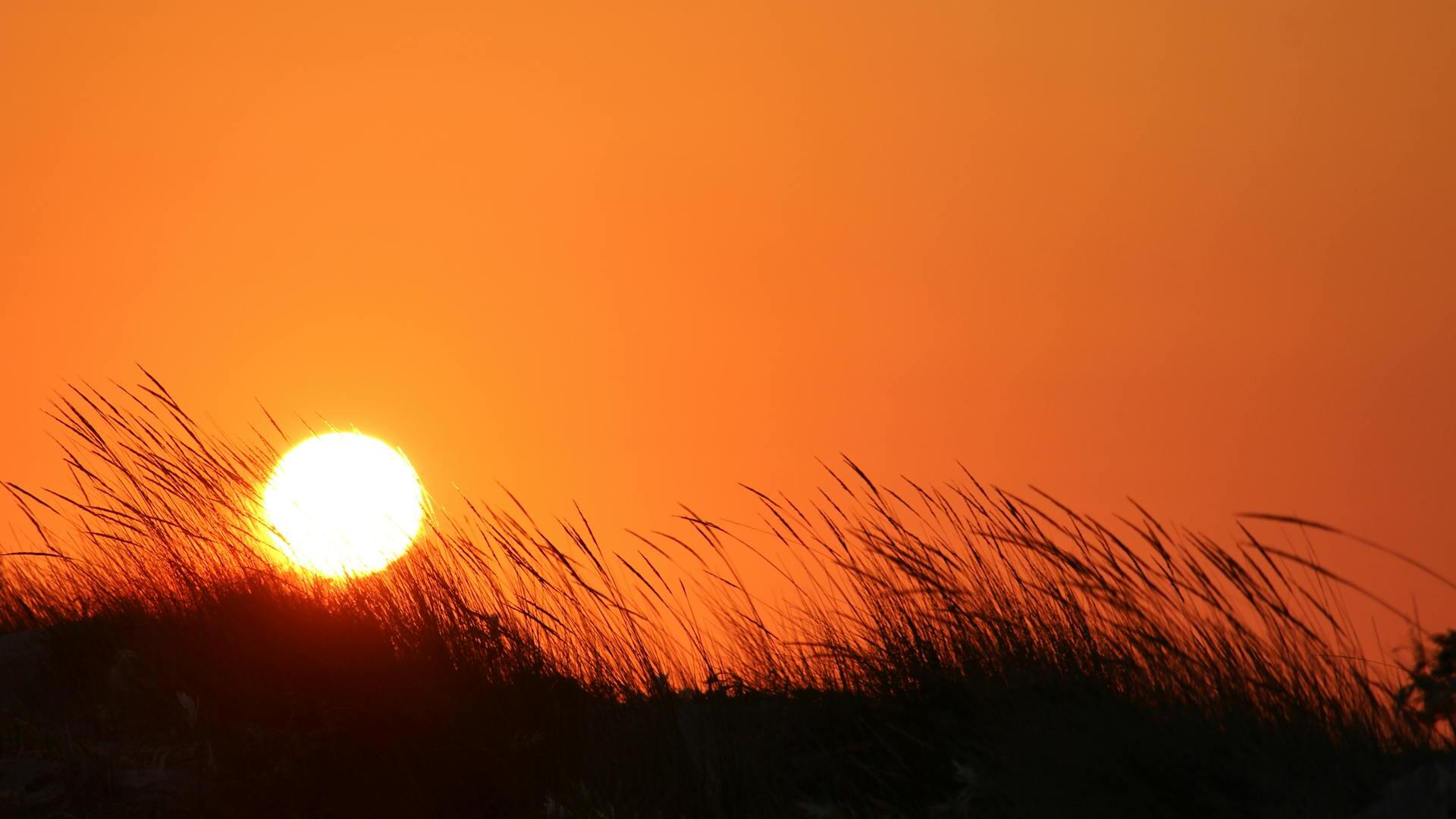 Gold ticks up as traders eye Trump-Xi outcome