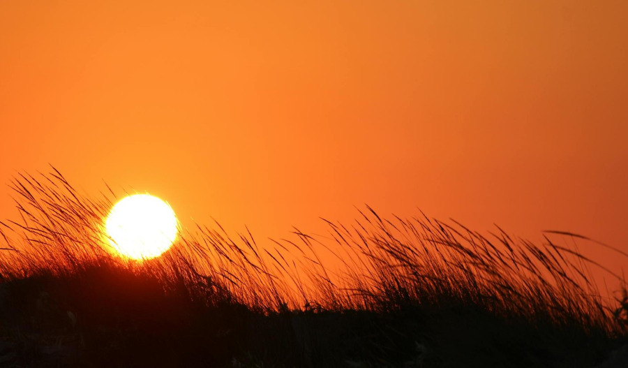 Gold ticks up as traders eye Trump-Xi outcome