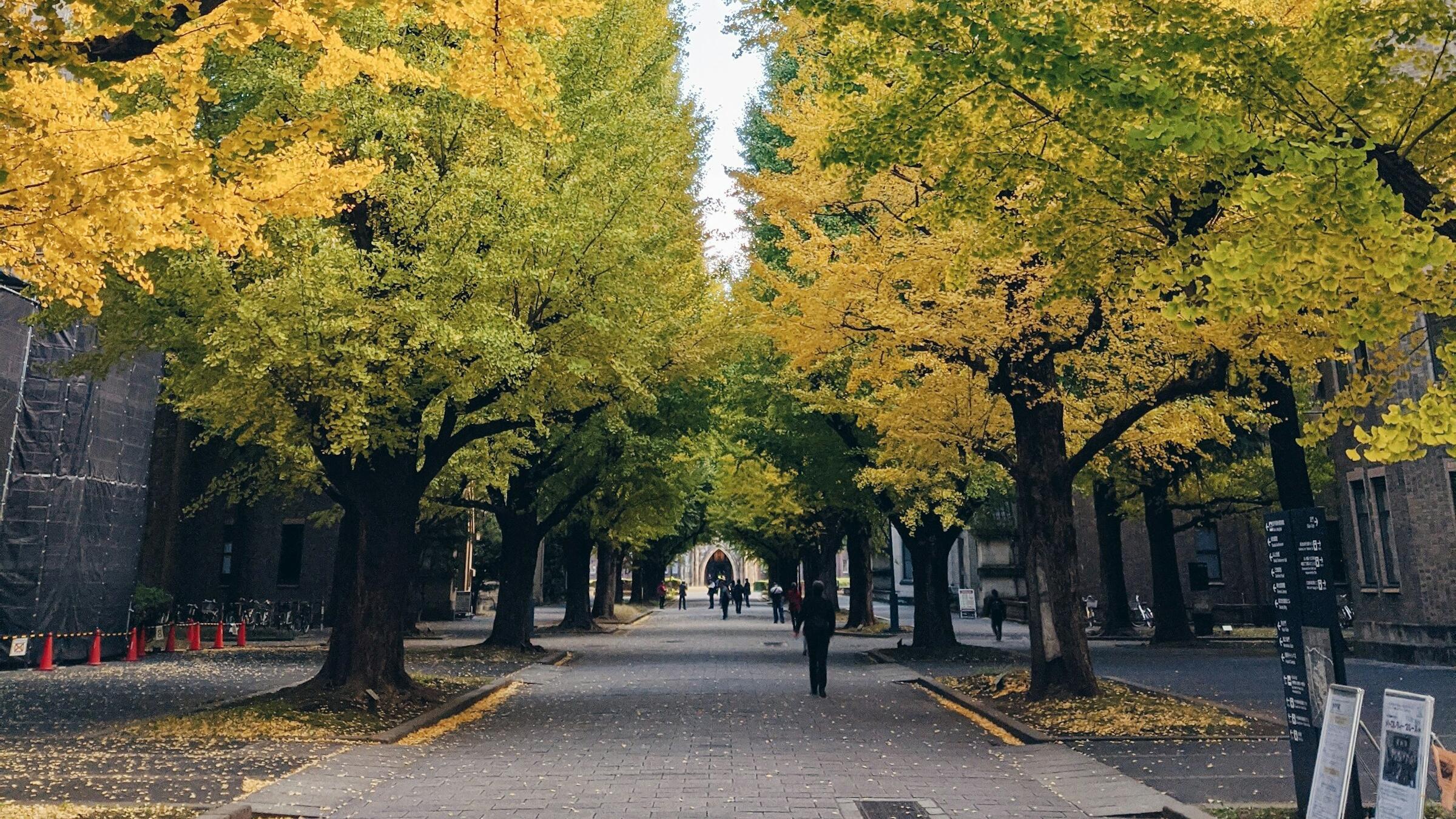 APAC rallies; Nikkei 225 hits record on Trump-Xi truce