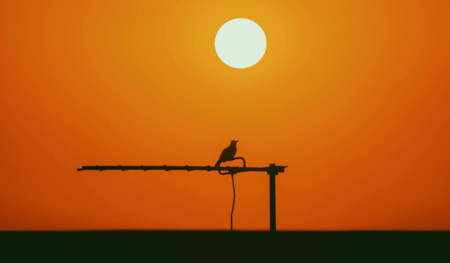 Gold rangebound at US$4,000; US PMI data ahead