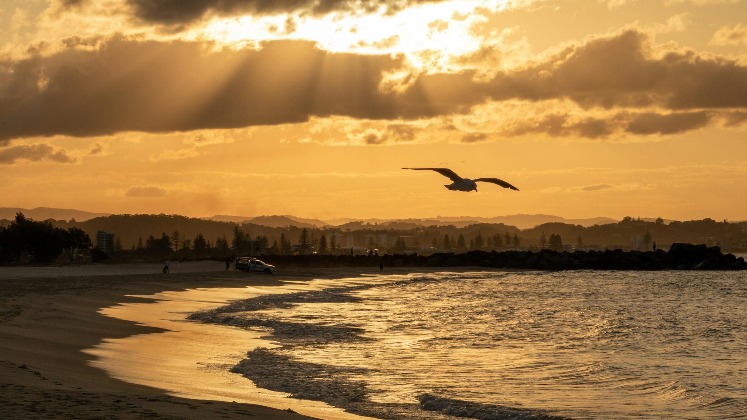 Gold pushes toward US$3,975; US dollar rally cools