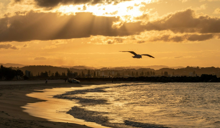 Gold pushes toward US$3,975; US dollar rally cools