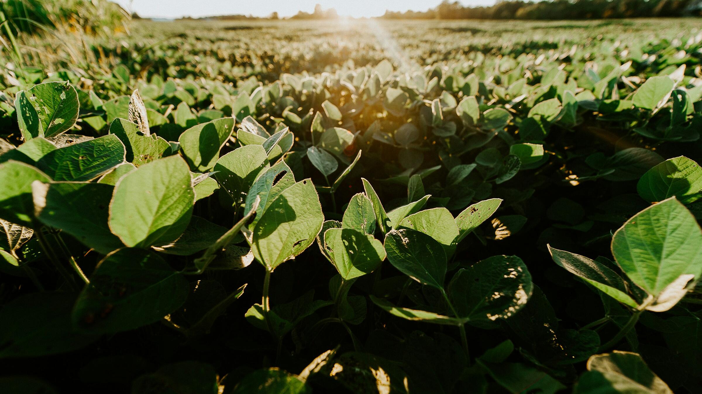 China reduces tariffs on some US goods