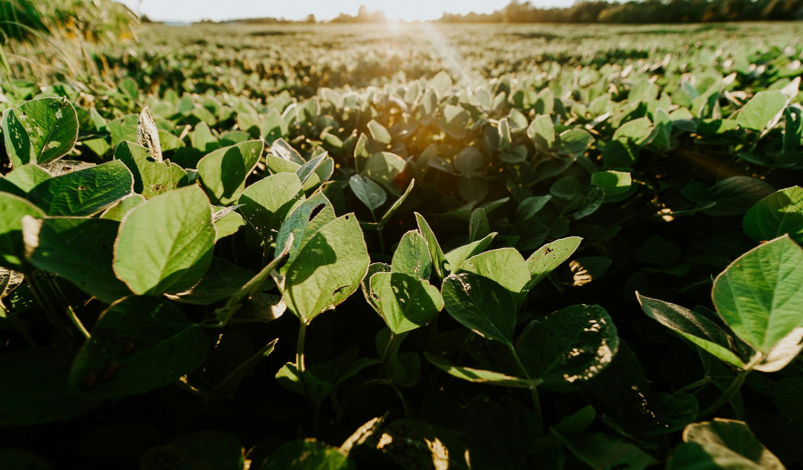 China reduces tariffs on some US goods